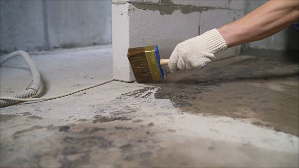 24/7 Emergency Wet Basement Repair experts in New Market, MD